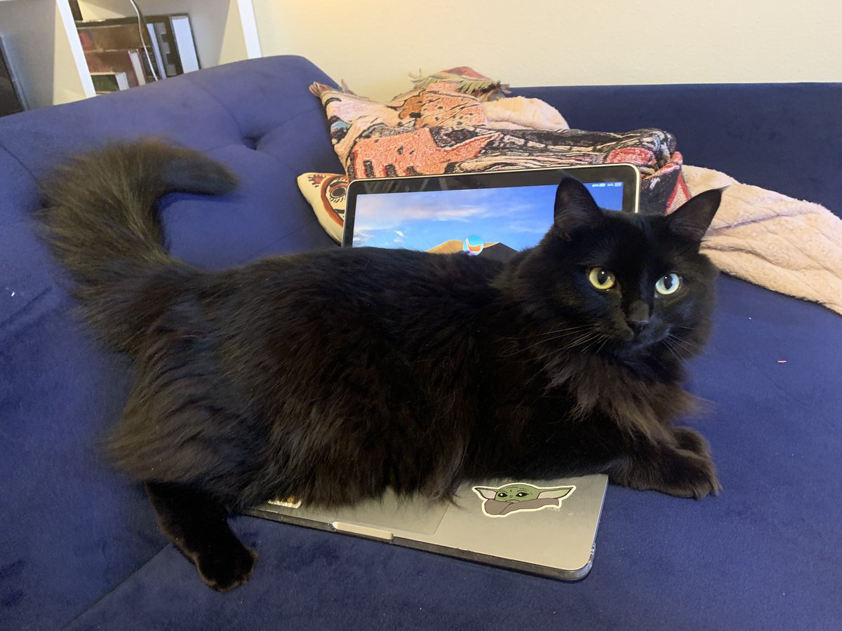 she has decided that my computer time is done