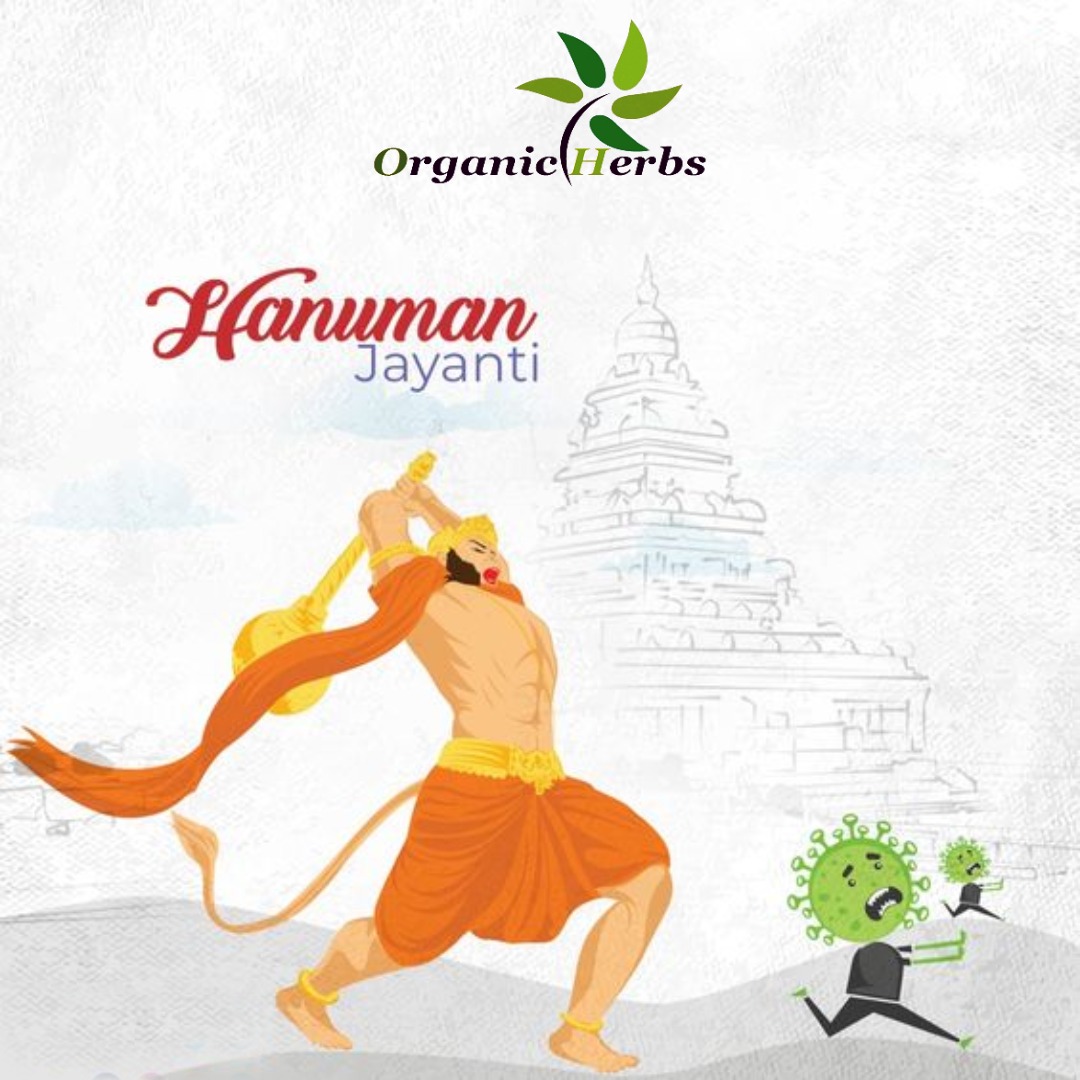 Warm greetings on the occasion of Hanuman Jayanti to you.”
.
.
.
.
.
.
#hanuman #hanumanjayanti #organicherbs #health #festival #festivalpost #viral #hanumanjaynti2023 #india #organic #hanumanji #hanumanjayanti2023 #jaishreeram #JaiShreeRam #tweet100 #Twitter