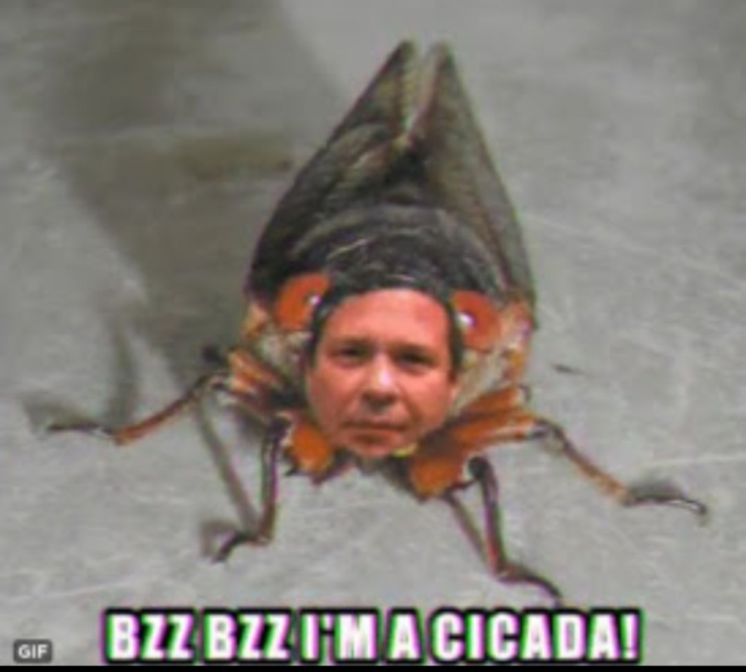 straymagnet1's tweet photo. You can repeat that lie 3,301 times, doesn't make it true, 2X Felon Thomas Schoenberger.
#FakeCicada #Infiltrator #Grifter https://t.co/NoCriazdQx