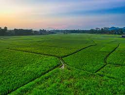 RameshwaramRaj's tweet photo. Our company "RAMESHWARAM RAJ ENGICONS (OPC) https://t.co/e7E8gTAhkY " is providing plot in Beldarichak . BOOKING AMOUNT-21000/-ONLY , Price starting from 5 lakh /-only.For more information Please contact us given below number.
7667904899
#PlotInPatna
#plotsavailable
#plotsforsale https://t.co/jELVDcA1Wr