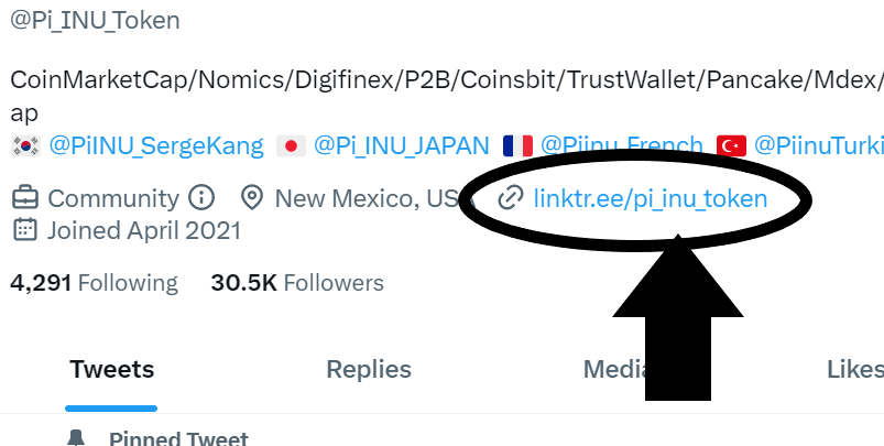 Pi_INU_Token's tweet photo. Please pay attention here. You can meet Pi INU easier and closer https://t.co/545VREfx3k