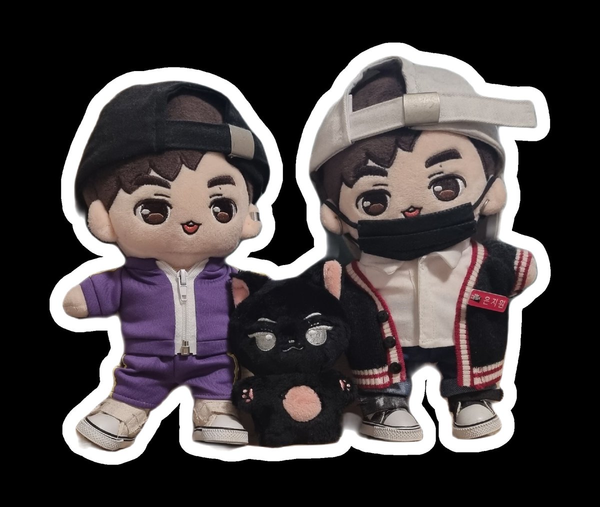 꼬젼팸 찌냥이 입양완료