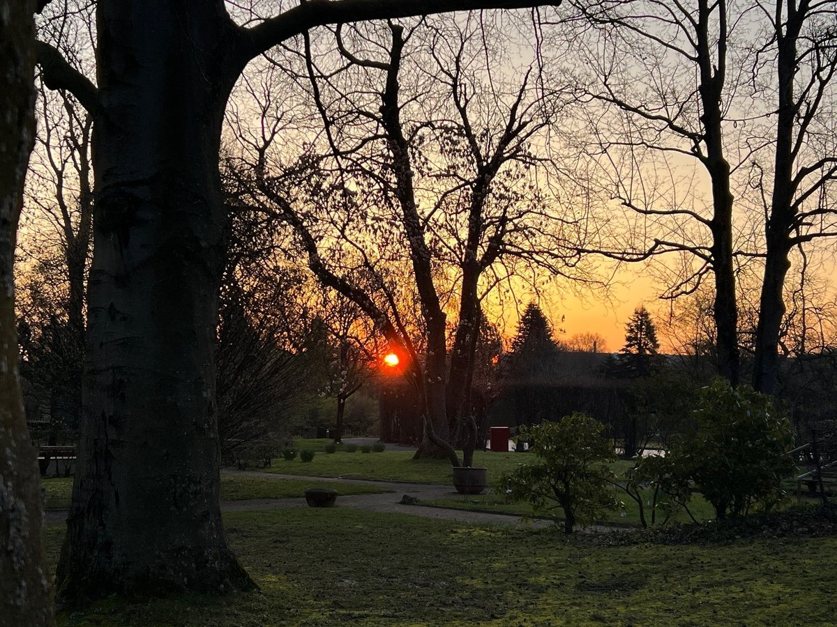 Konrad Lischka tweet media