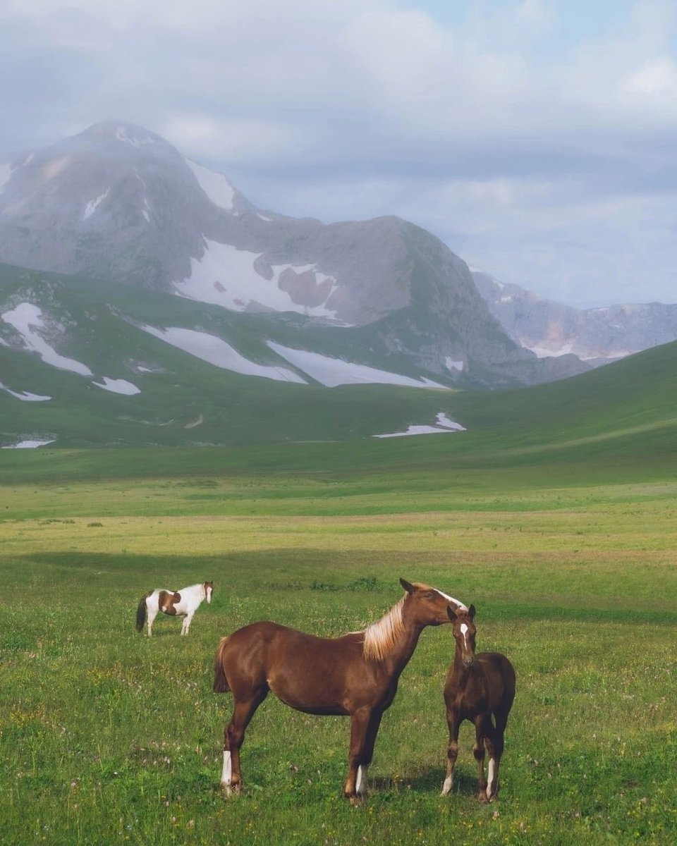 Irina Sokolova (@irina76706901) on Twitter photo 