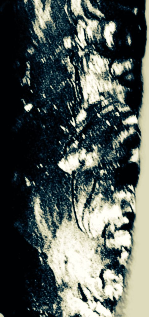CFlyeiii tweet picture