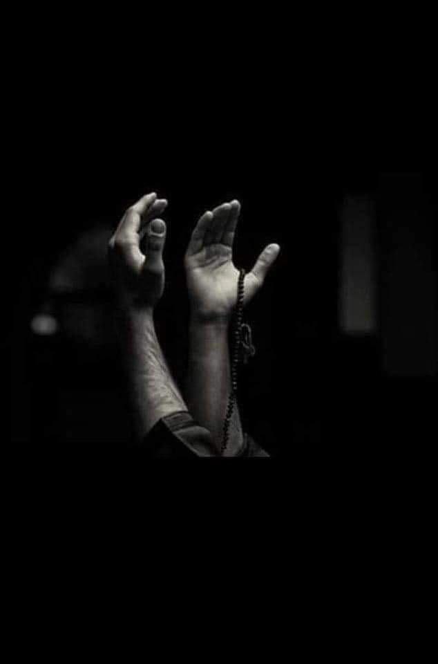 فجر 15 |رمضان 1444هـ ❤️🌙

" اللهم بشرنا بما يسرنا وكف عنا ما يضرنا،اللهم إنك تسمع أنين قلوبنا، فارزقنا ما هو خيرًا لنا،اللهم إنا نسألك من النعمة تمامها،ومن العافية دوامها،ومن الخير أكمله، ومن اللطف الجميل أجمله،اللهم السلام من كل شيءٍ يرهقنا ومن كل شيءٍ يضعفنا ومن كل شيءٍ يؤذينا