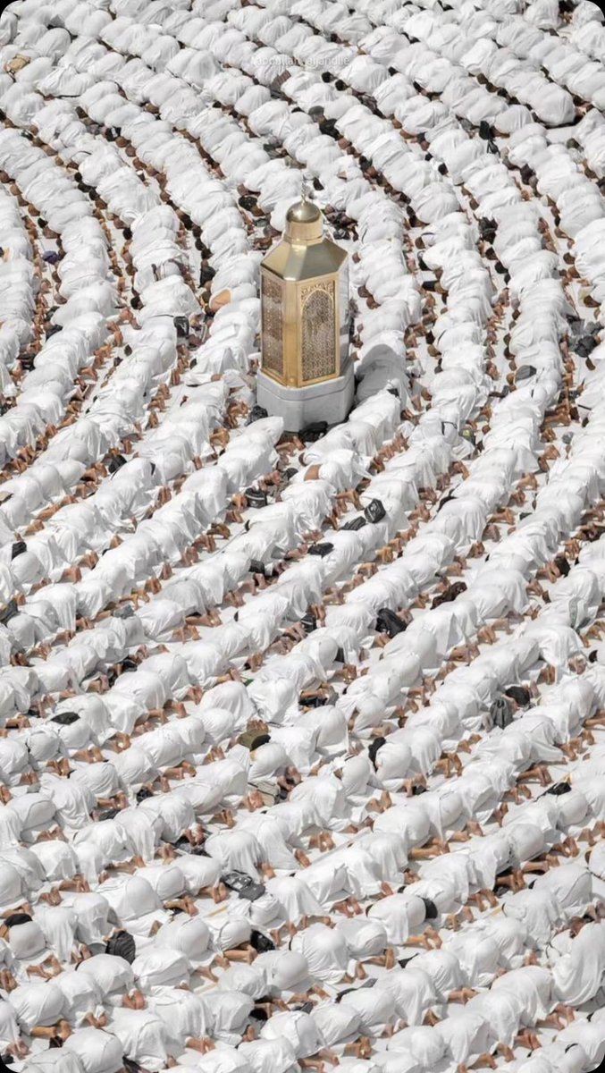 dalamiye's tweet photo. اللهُّم إن أيام رمضان تمضي سريعًا فاجعل لنا
في هذا الشهر نصيبًا
من الرحمة والمغفرة والعتق من النار .
#رمضان15🌙 https://t.co/hB67uoeEi1