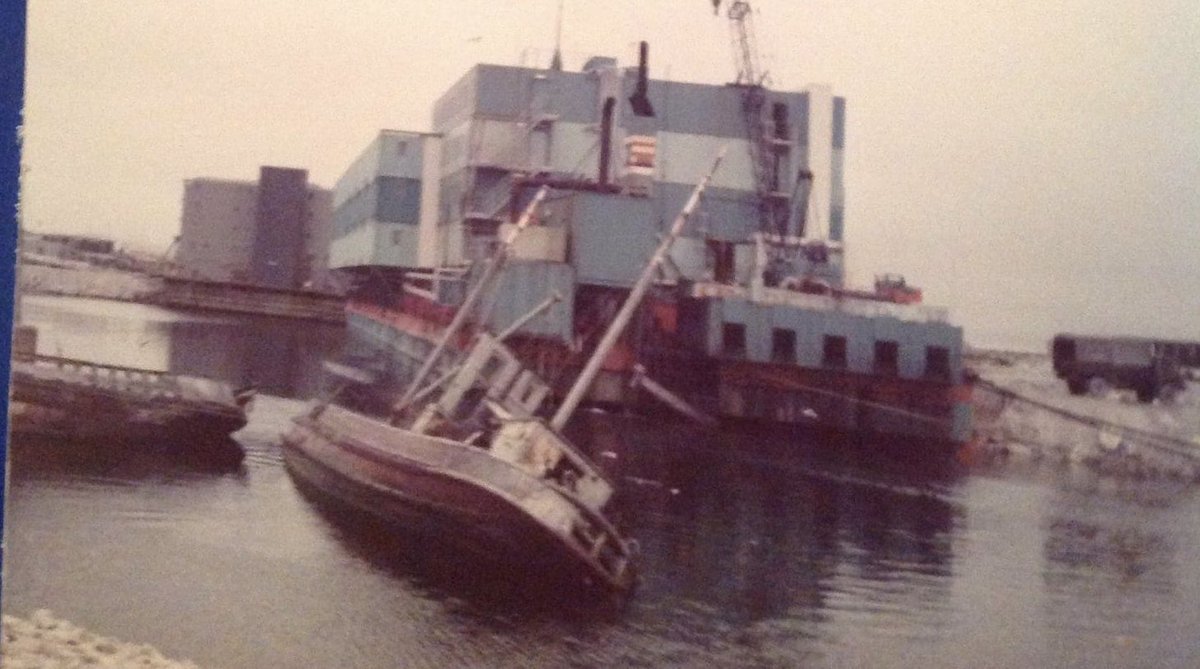 BirdsAndBees tweet media