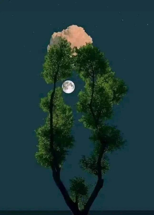 AfsarMulk's tweet photo. په پیشنمي سپوږمۍ ته ناست یم 
روغـــې رنـځـورې ورته ستا بیانؤمه https://t.co/oOVRdgj20k