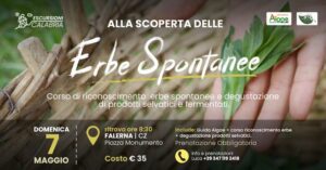 jblasa's tweet photo. 🟡🔵🔴 Falerna - Alla scoperta delle erbe spontanee
📅 Domenica 7 Maggio 2023 

#erbespontanee #falerna #catanzaro #2023 #rispettalacalabria #eventicalabria #turismo #calabria #jblasa #weblasa
https://t.co/XgvXBrXNIs https://t.co/MgSL1HBbNJ