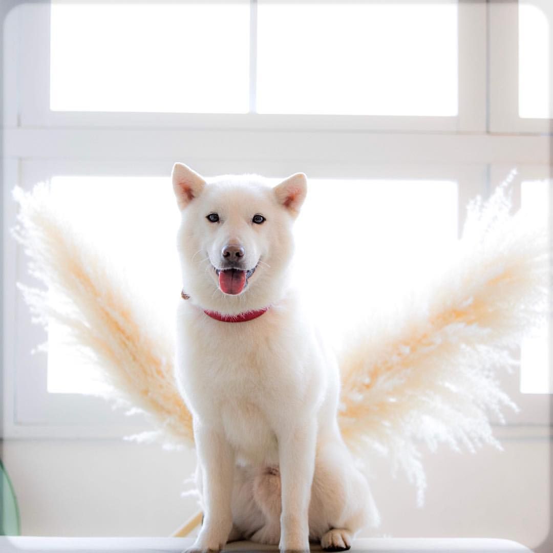 FtAewklakAMLLBP.jpg?format=jpg