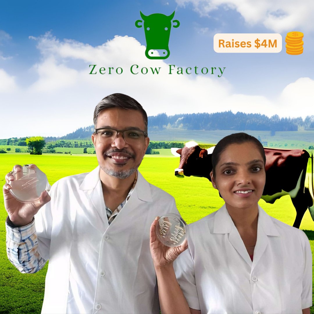 Big news in the world of food tech! Zero Cow Factory just secured $4 million in seed funding

To continue their work creating delicious and sustainable plant-based dairy alternatives.

#foodtech #sustainability #plantbased #dairyalternatives #zerocowfactory #seedfunding