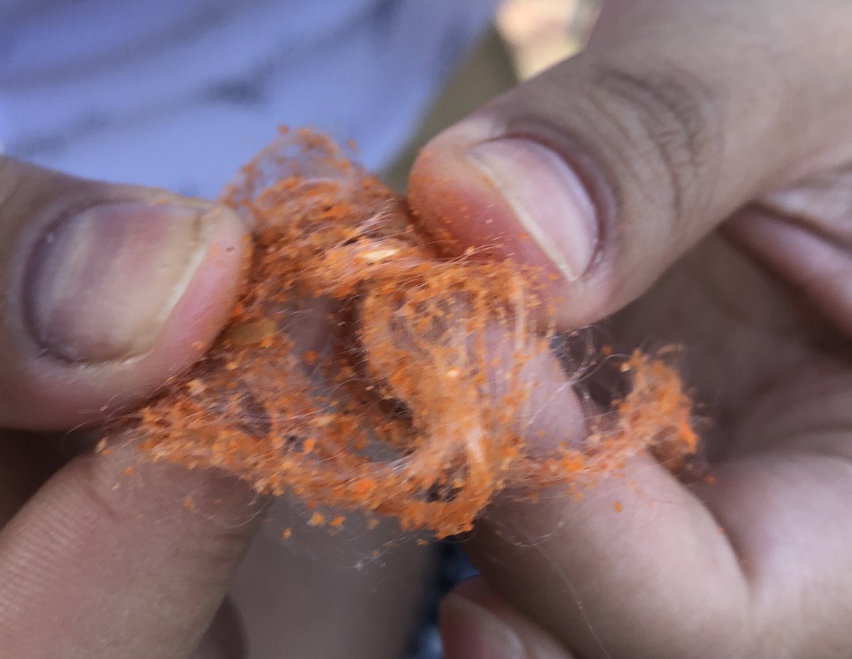 Sc09Alexis's tweet photo. Aquí se ve más de cerca, no se si sea algo textil, peluca o fibra jaja se ve algo raro pero en vdd si fue un momento desagradable😞 https://t.co/wt86krx72O
