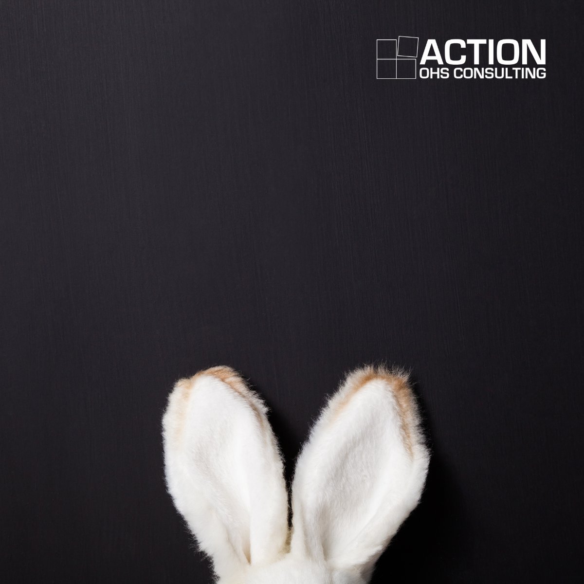 ActionOHS's tweet photo. Wishing everyone a safe and relaxing long weekend ahead.

We will be closed for the Good Friday and Easter Monday public holidays. If you require urgent assistance on those days, please email info@actionohs.com.au or call 1300 101 647. https://t.co/y3IRPEzrr1