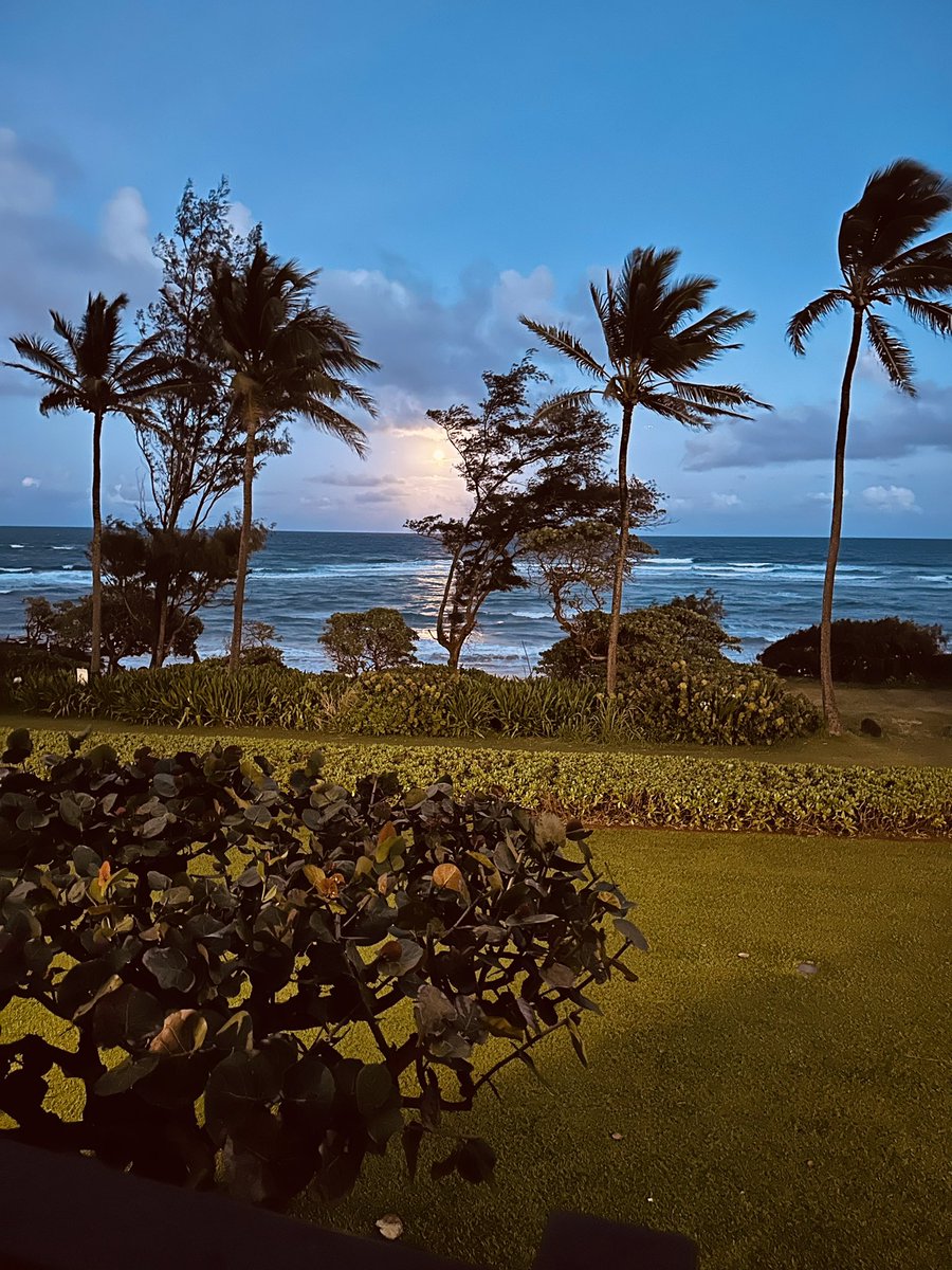 The moon rising - in Lihue.  This gorgeous part of the world takes my breath away.   And I think of my brother - who was here on a high school trip….   Weirdly, I have been feeling close to him while I’ve been here, he’s been gone for so long ❤️