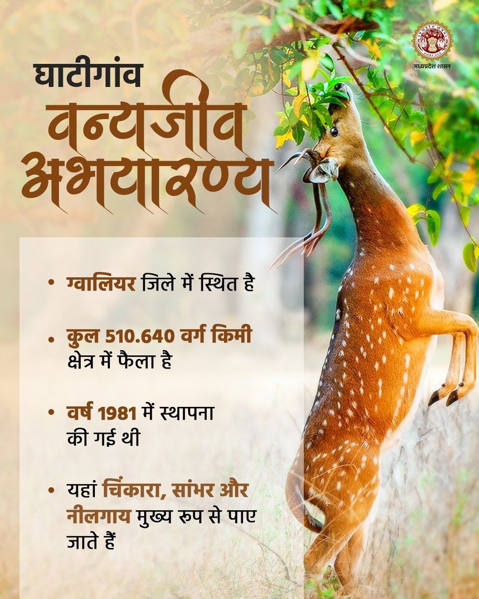 minforestmp's tweet photo. घाटीगांव वन्यजीव अभयारण्य  
--- 
ग्वालियर जिले में स्थित इस अभयारण्य की स्थापना वर्ष 1981 में गई थी।   

#JansamparkMP https://t.co/mk1dQHVt64