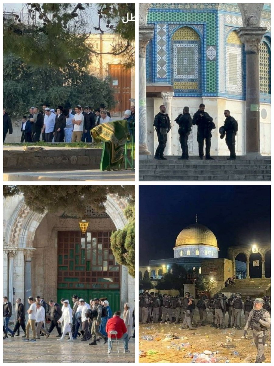 محاسب accountant tweet media