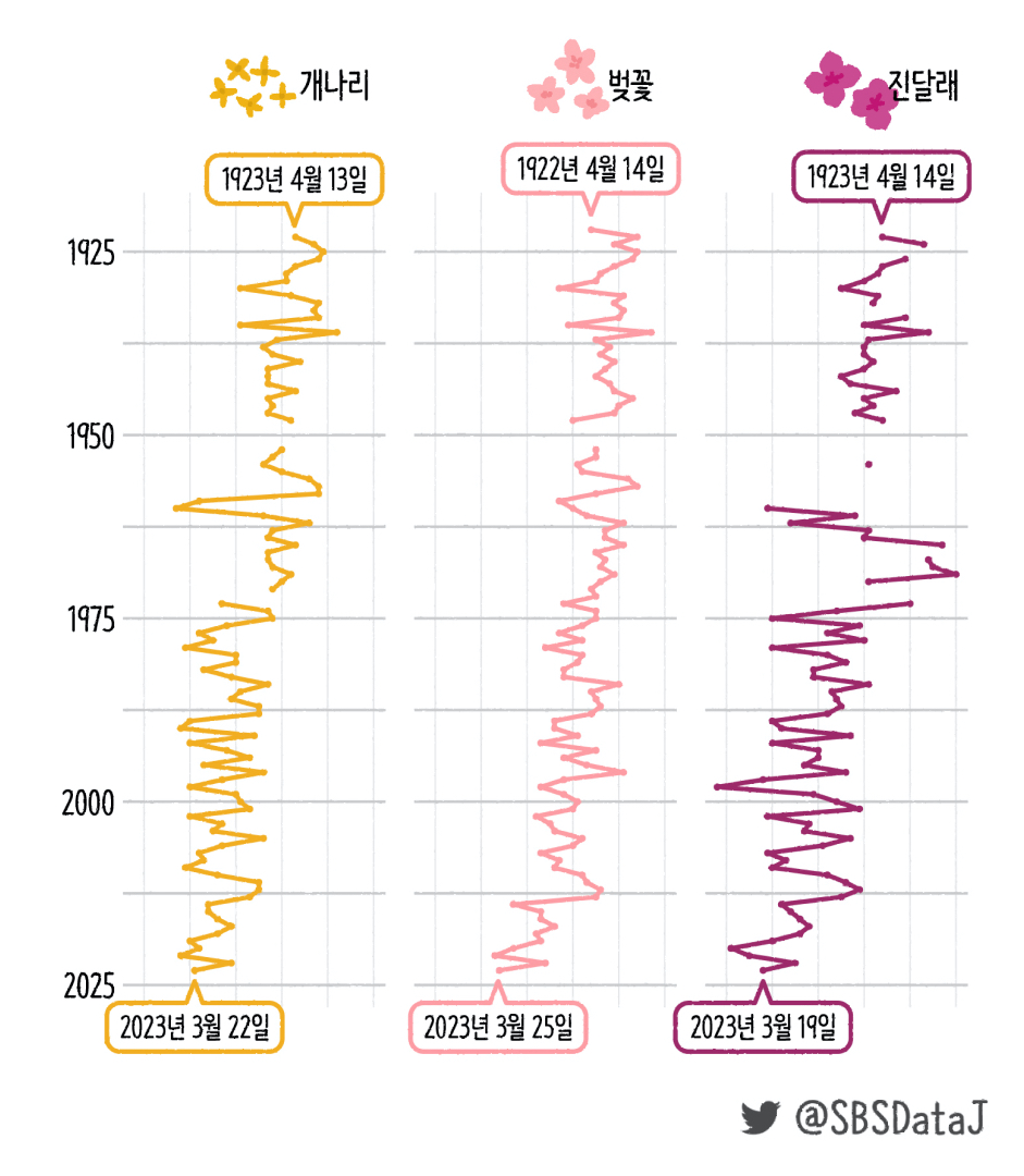 올해의 벚꽃은 유난히 빨리 피고 진 듯합니다. 이는 1922년부터 2023년까지 기상청 서울 관측소의 봄꽃 개화 시기를 나타낸 이 그래프를 통해서도 확인할 수 있습니다. 올해 벚꽃 개화 시점은 3월 25일로, 전체 평균 수치보다 2주 빨랐습니다.
