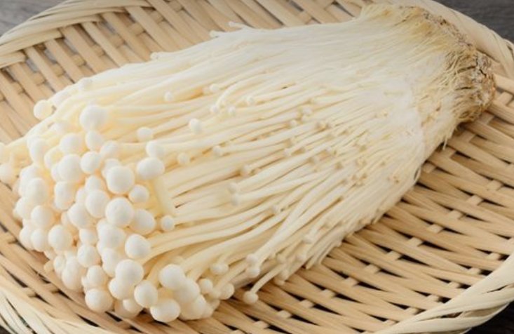 เคยเกือบตายเพราะอะไร
กู :