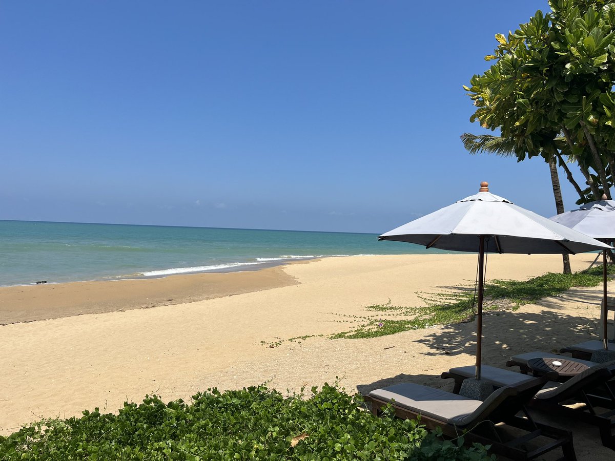 Laura Hancock tweet media