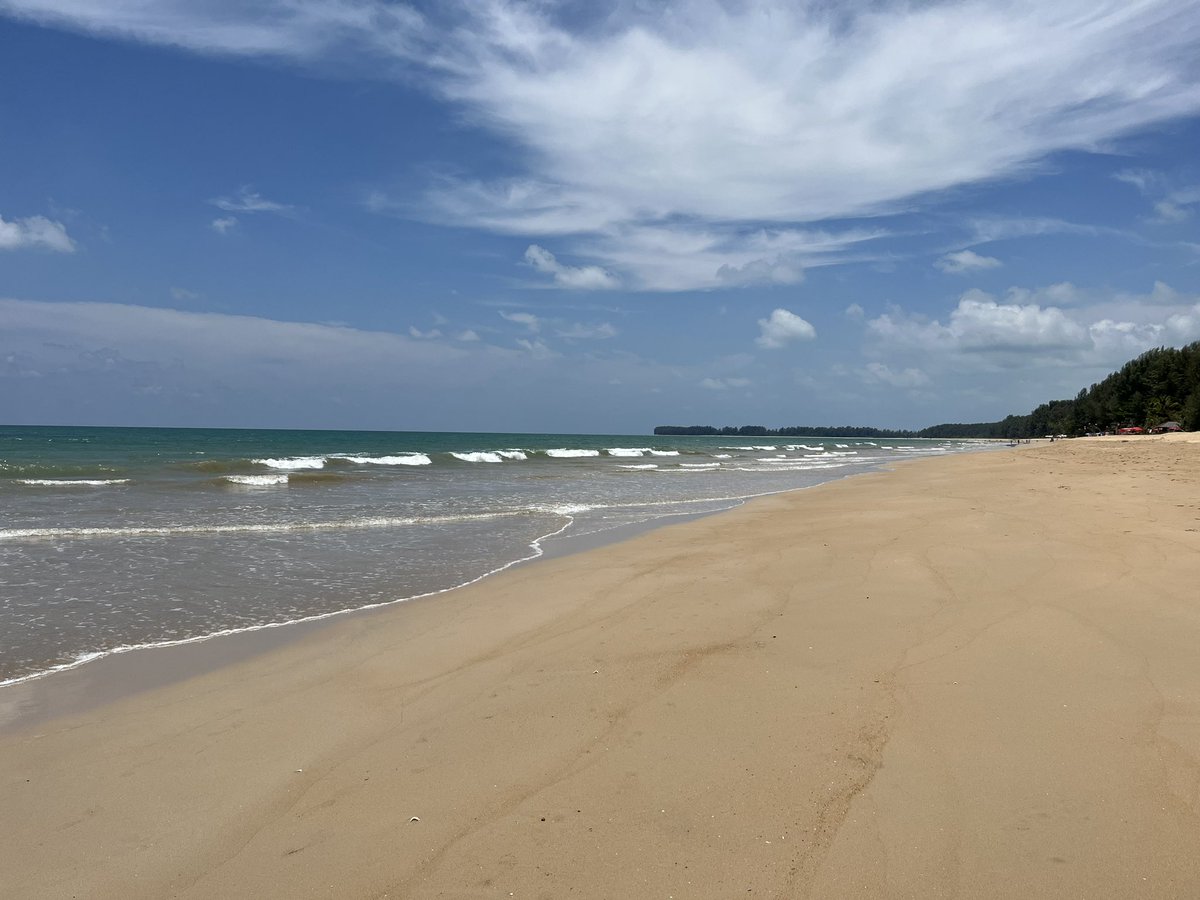 Laura Hancock tweet media