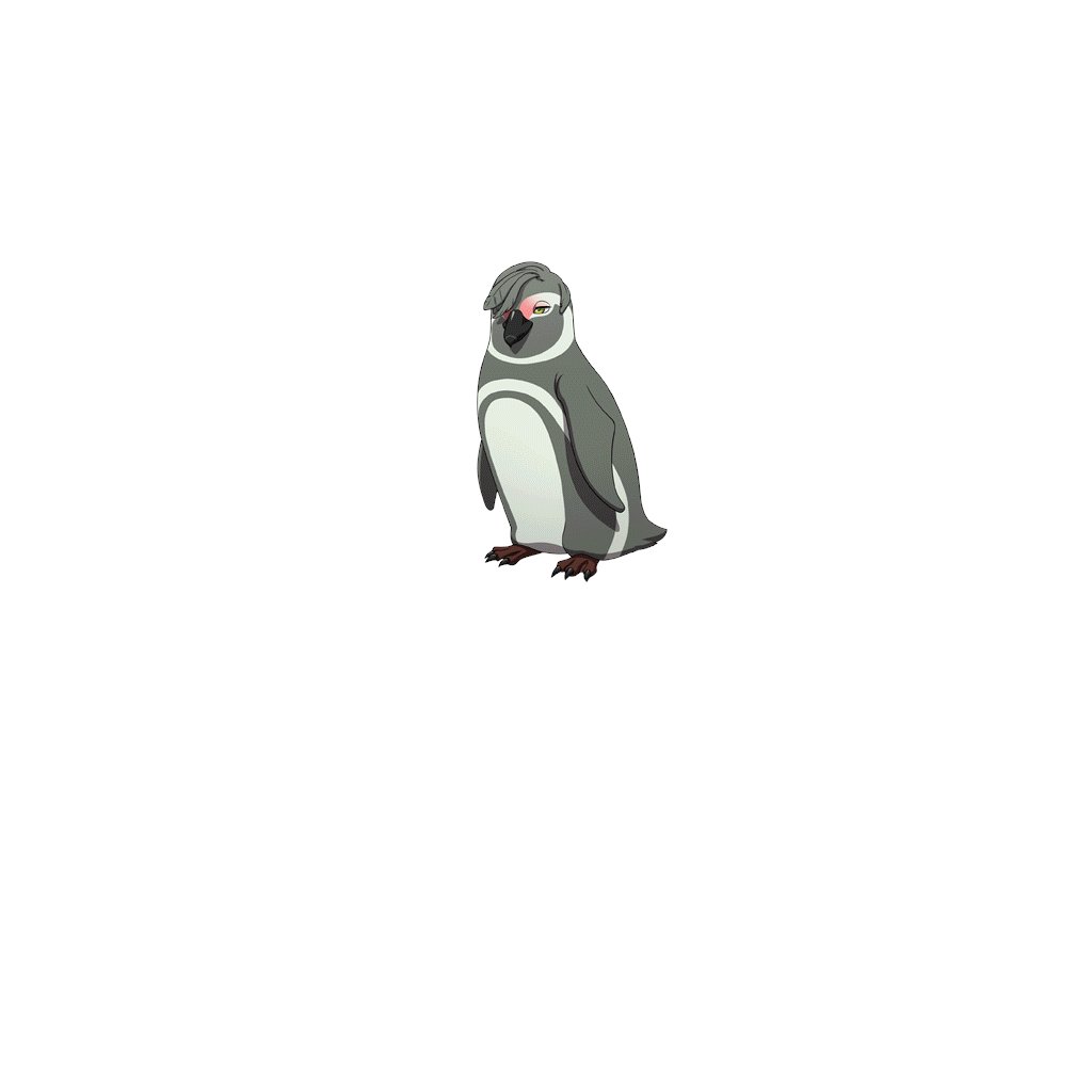 【Animal World】