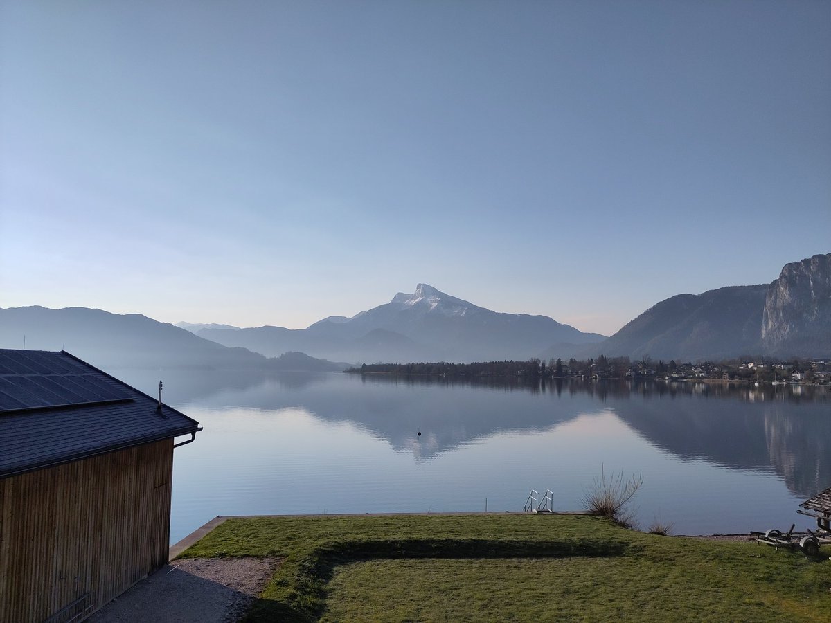 Markus Moest tweet media