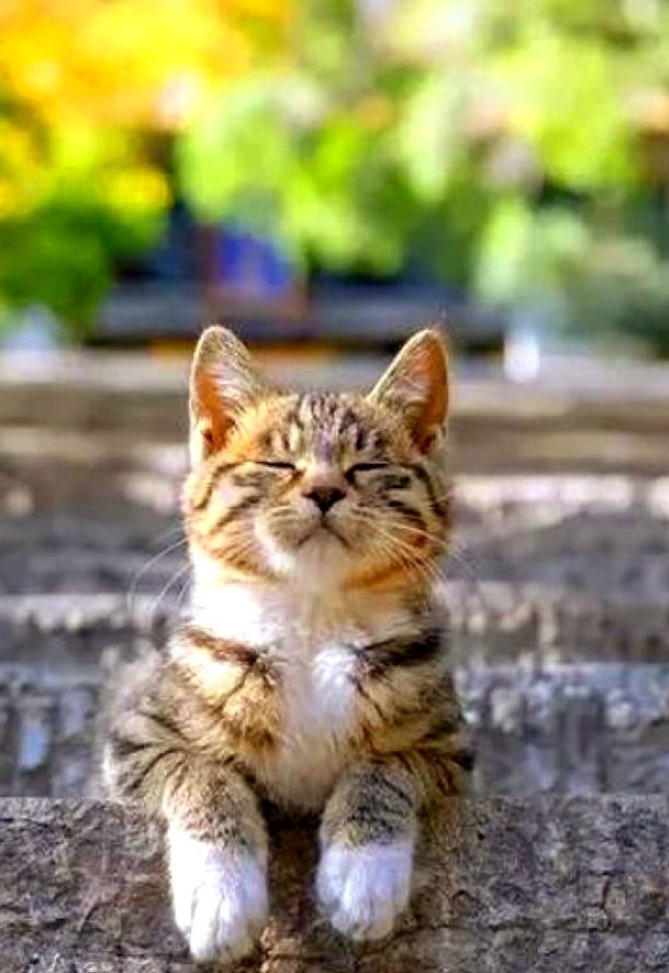 <a href="/WonderfulSpace4/">Marie Nassar3</a> Have a awesome Thursday 🍀🌹🦋 my nice Marie 🤗❤️😘