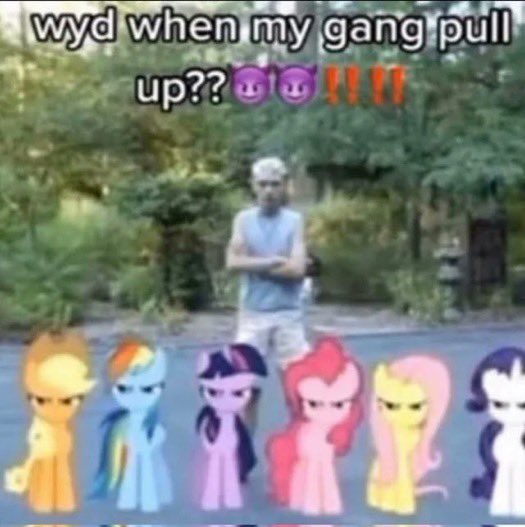 reactjpg's tweet photo. guy with angry my little pony horses wyd when my gang pull up https://t.co/BD554iTg8c