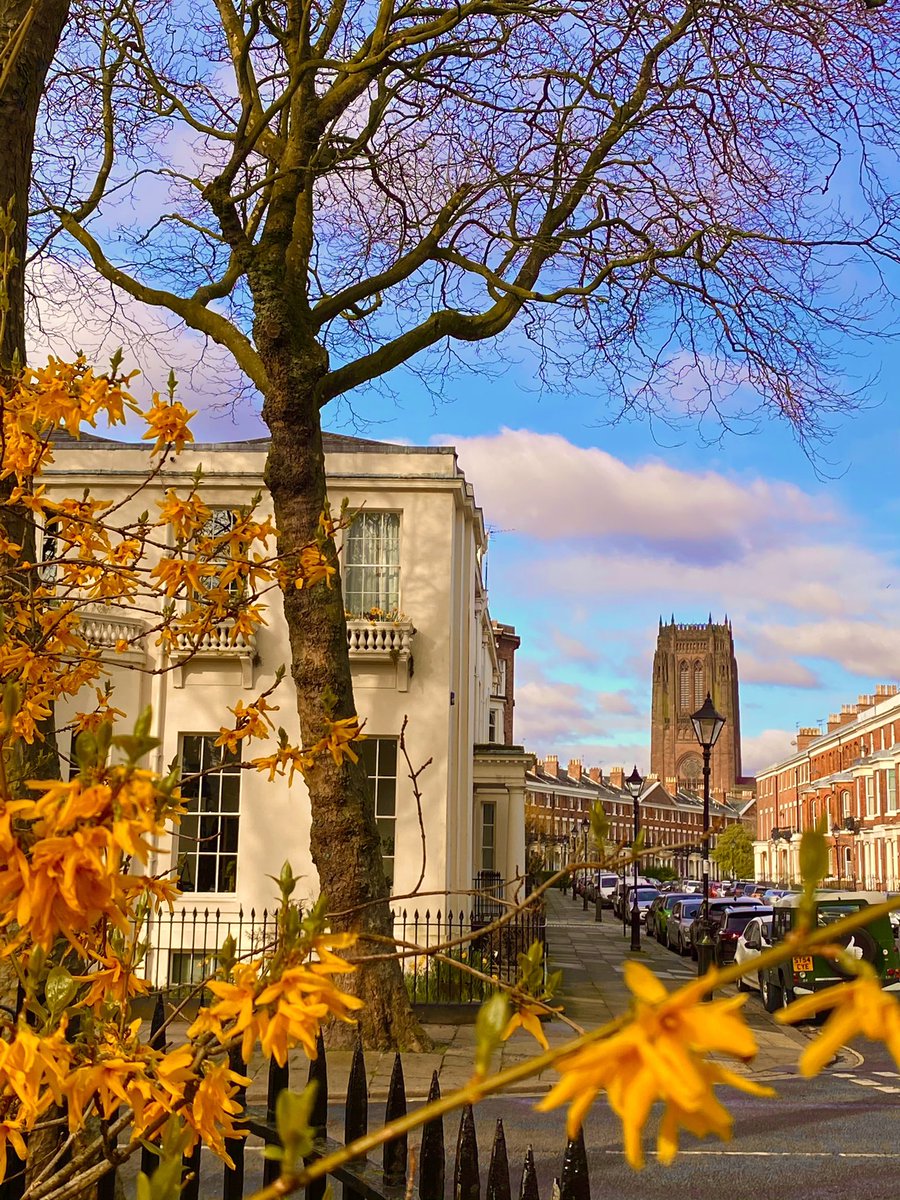 Good Morning! 🫶

Thank you for this stunning photo @JoelLloydJelen 📸