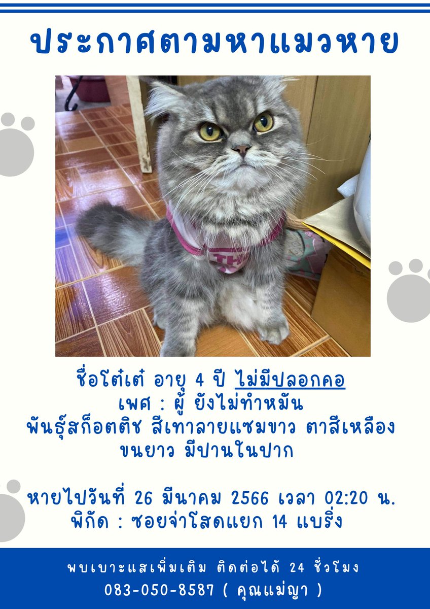 xocoxoss's tweet photo. ตามหา #แมวหาย #ตามหาแมว

ชื่อโต๋เต๋ อายุ 4 ปี เพศผู้ ไม่ได้ทำหมันค่ะ ลักษณะตาสีเหลือง พันธุ์สก็อตติช สีเทาลายแซมขาว มีปานในปาก ไม่มีปลอกคอ

พิกัด : ซอยจ่าโสดแยก 14 แบริ่ง
หายไปเมื่อวันที่ 26 มีนาคม 2566 เวลา 02:20 น.

ยังไม่มีเบาะแส วี่แววเลยค่ะ หากใครพบเจอหรือมีเบาะแสแจ้งได้นะคะ https://t.co/TBXVLGCSho