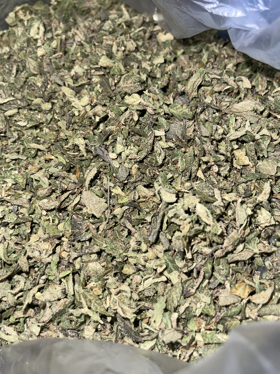 HAPPYVA59's tweet photo. ทริม สายพันธุ์ Runtz thc(buds)25% 100/G,5G/475,10G/900฿
หวาน หอม นุ่มไม่แสบคอ ค่อยๆมา มาแล้วมาหนักนั่งเด้งเชือกแน่นอน #กัญชา #กัญชากรุงเทพ #กัญชานอก #กัญชาออแกนิค #กัญชาพัทยา #MAGICFLOWER https://t.co/SmmYwArW2H