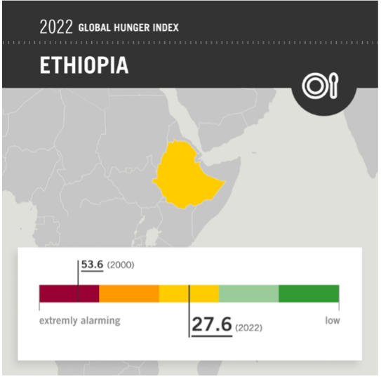 HelvetasE's tweet photo. #GHI2022, #Ethiopia ranks 104 out of the 121 countries with sufficient data to calculate GHI scores &amp; has a level of hunger that is serious. #Ethiopia should invest more in organizations helping small farmers to strengthen #FoodSystems Live streaming here https://t.co/bv3DXA8H77 https://t.co/ZZLTfrTj4r