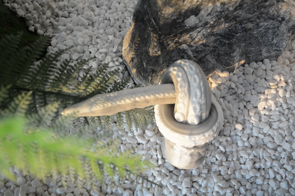 NothosaurFR's tweet photo. 🐍Ce n'est pas un serpent ornemental de zoo, mais notre gode d'entraînement en profondeur de tentacule super réaliste #AbyssII
🔗https://t.co/RnI7eLHLzt
#godelong
#godmichetanal
#jouetsexuel https://t.co/KrjB5avfbG