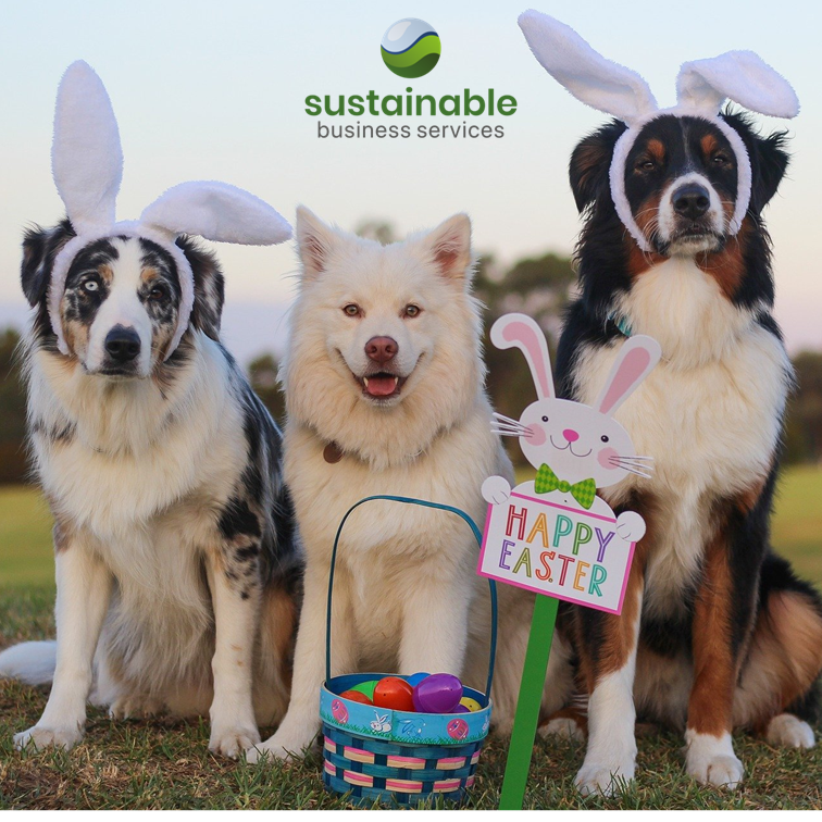 Happy Easter everyone! 🐰🥚
Let's make an effort to be more sustainable and reduce our waste

Here are a few tips

🌿 Use reusable Easter baskets instead of plastic ones
🥚 Buy organic and locally sourced eggs
🥕 Opt for plant-based Easter meals
🌸 Choose eco-friendly decorations