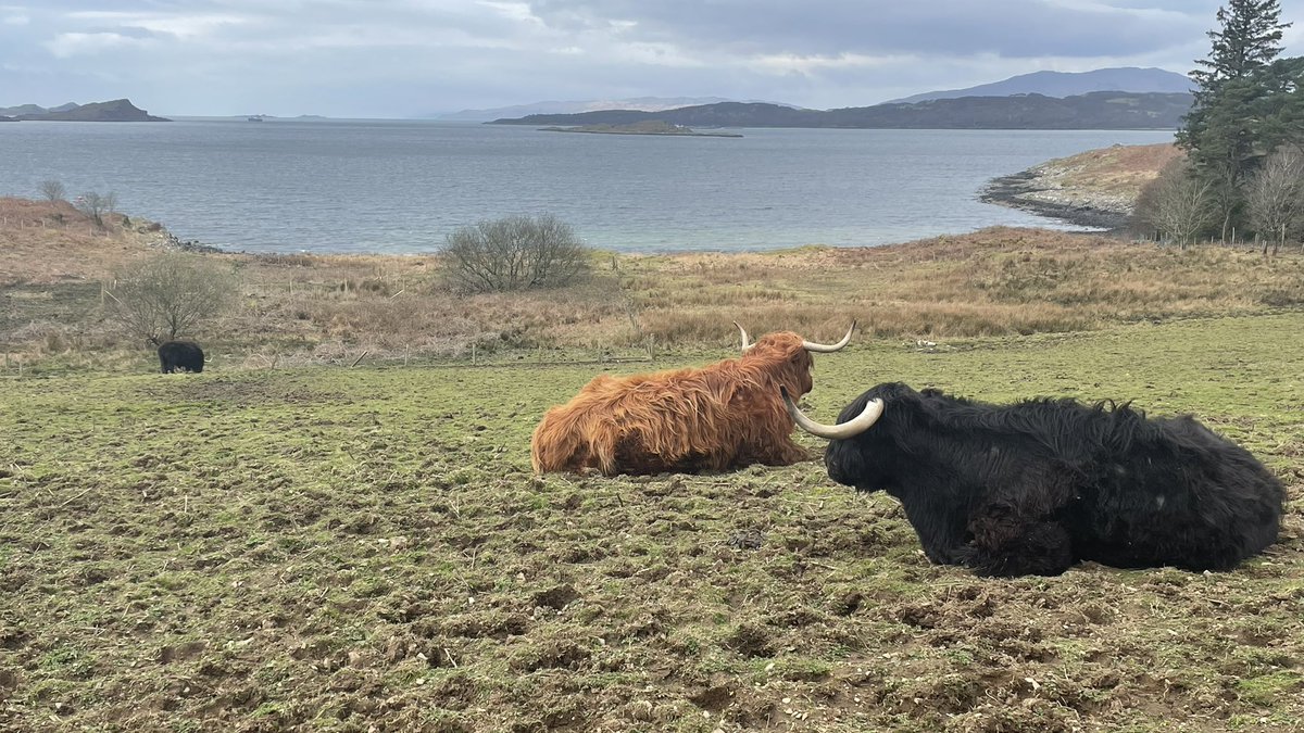 Abi 🏴󠁧󠁢󠁳󠁣󠁴󠁿 tweet media