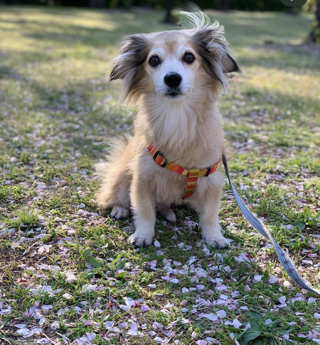 Changin'MyLife (@ChanginMyLife1) / Posts / X