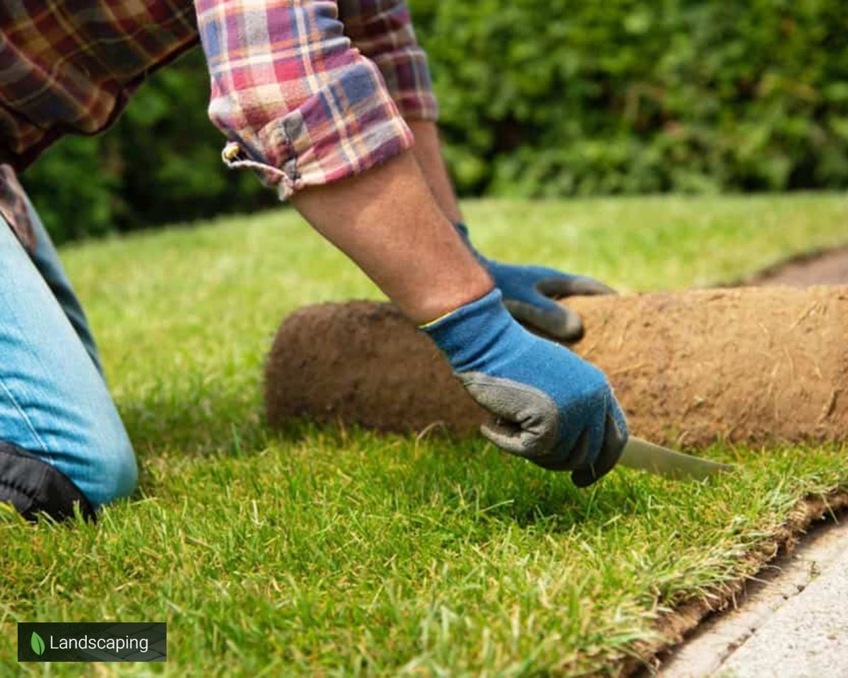 slandscapingpro's tweet photo. For reliable and professional turf-laying maintenance services visit this link
https://t.co/GxJT8yLRKE
#turf #turflay #sydney #sydneyturf #sydneyturflaying #turflaying #turflayingmaintenance #sydneylandscaping #turflayingservice #landscapedesign #sydneyturflay #turfinstall https://t.co/FXauADGTN7