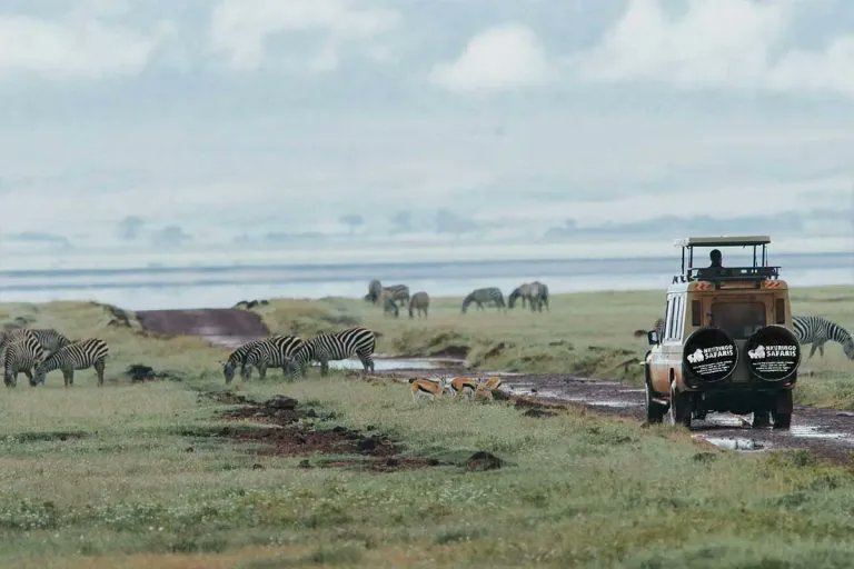 KatoSamuelCasa's tweet photo. However, with the breathtaking sceneries, and mountain ranges shimmering from the far East and West of Uganda, a resounding experience that you will enjoy as you immerse your body in the tropical water bodies.
#ThePearl
#tourism #Tours2Go https://t.co/fsKnUDKpXI