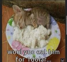 LMKAnything's tweet photo. woul yuo eat Yellow-Tusked Elephant for 1 dolar… https://t.co/nohl9rJNEj