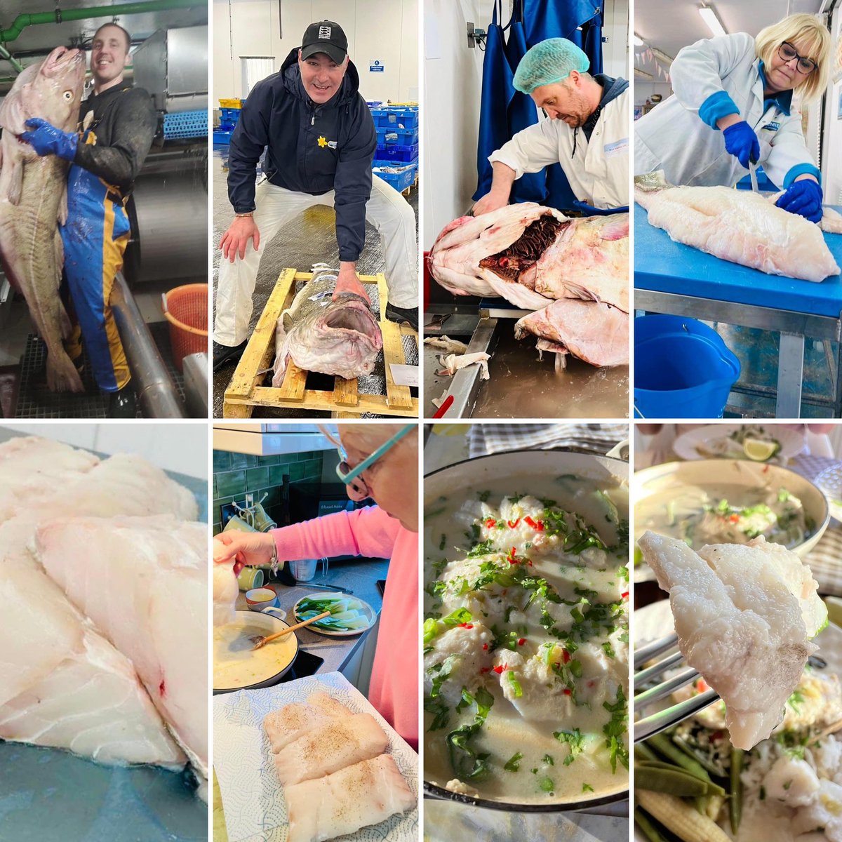Premier Seafoods Ltd / kingcrab.co.uk on Twitter: 