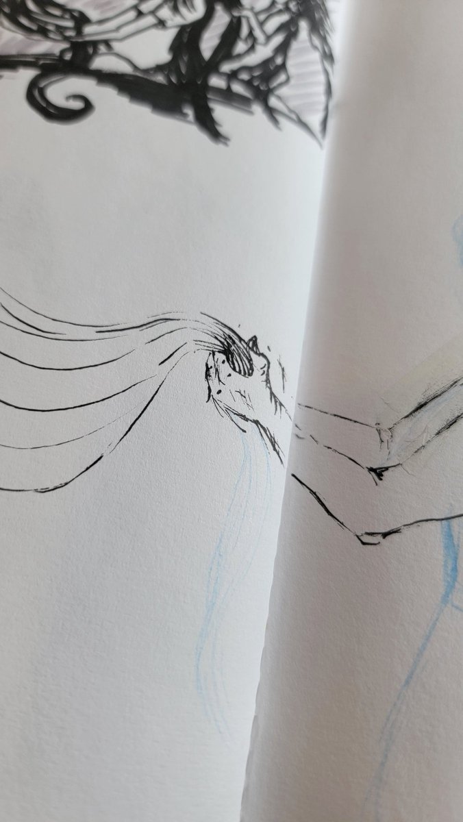 prim pardashian 🐦‍⬛ tweet media