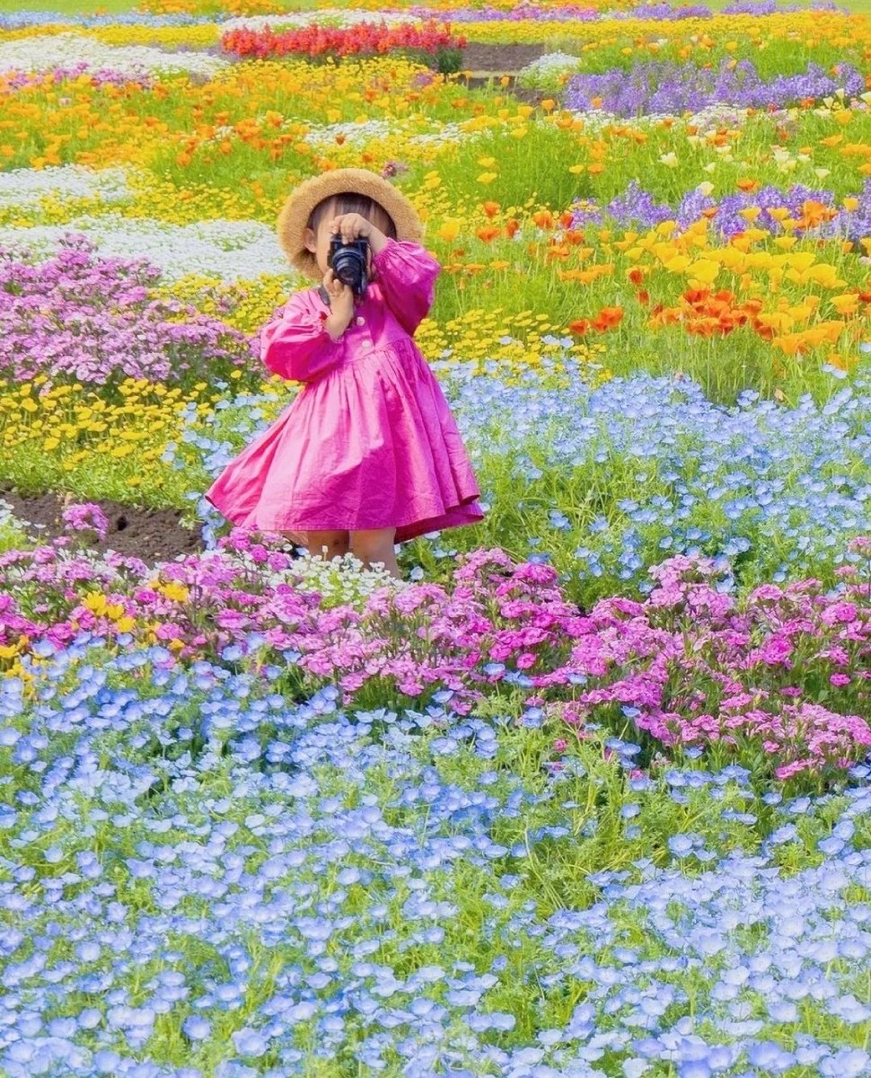 TinaYeah5's tweet photo. 闲看花开，静待花落。＃大美江西＃大美中国 https://t.co/B2Z3Ex5QyR