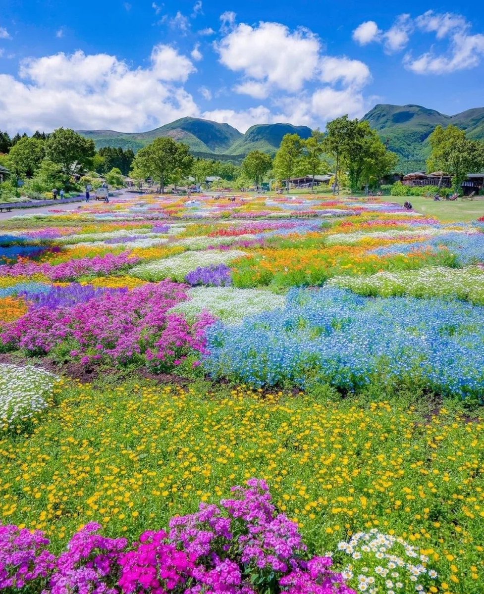 TinaYeah5's tweet photo. 闲看花开，静待花落。＃大美江西＃大美中国 https://t.co/B2Z3Ex5QyR
