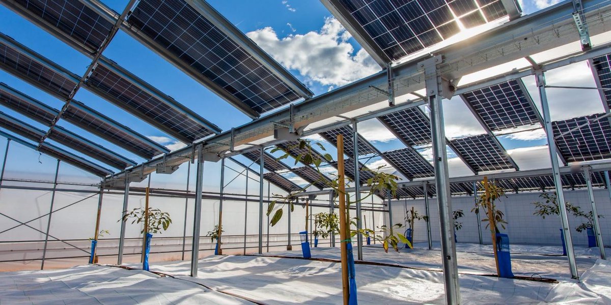 La @platformtierra se hace eco de Picassent Solar, la primera #ComunidadEnergética #Agrovoltaica de España que desarrollan #TRANESOL y @sapiensenergia. El proyecto generará #EnergíaRenovable para los agricultores, hogares y empresas cercanas. ☀️Leer más: bit.ly/TRANESOL59🌿