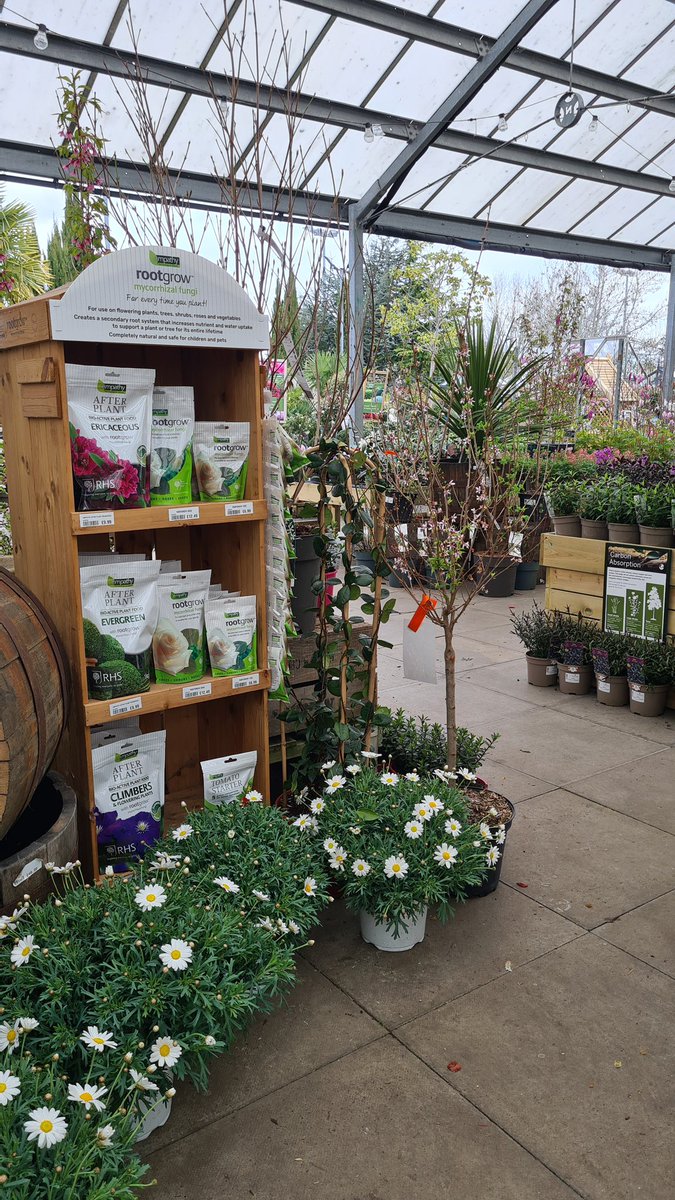 empathyrootgrow's tweet photo. Are you ready for spring planting? rootgrow mycorrhizal fungi is sold in all major garden centres and DIY stores nationwide 🌼🌱🪴 https://t.co/PYfQWaauGX