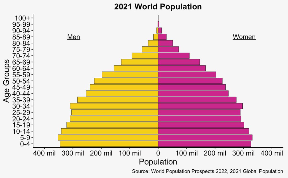 demography101's tweet photo. Day 6 of #30DayChartChallenge: humans

I used some @UN data to create a population pyramid showcasing the 2021 global population. 

#rstats #dataviz #datascience #ggplot #poptwitter https://t.co/cCVzIvi1Ob
