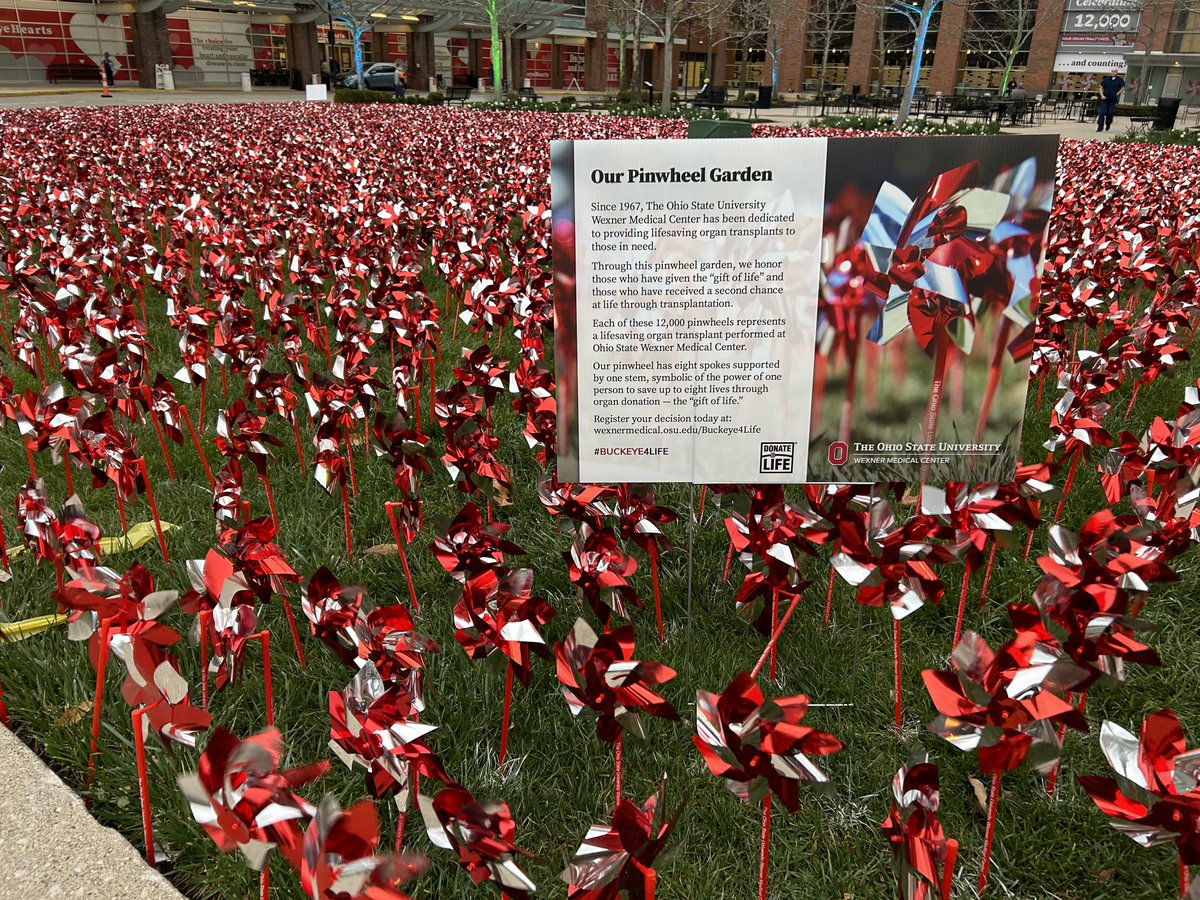 Wal ⭕️zello tweet media