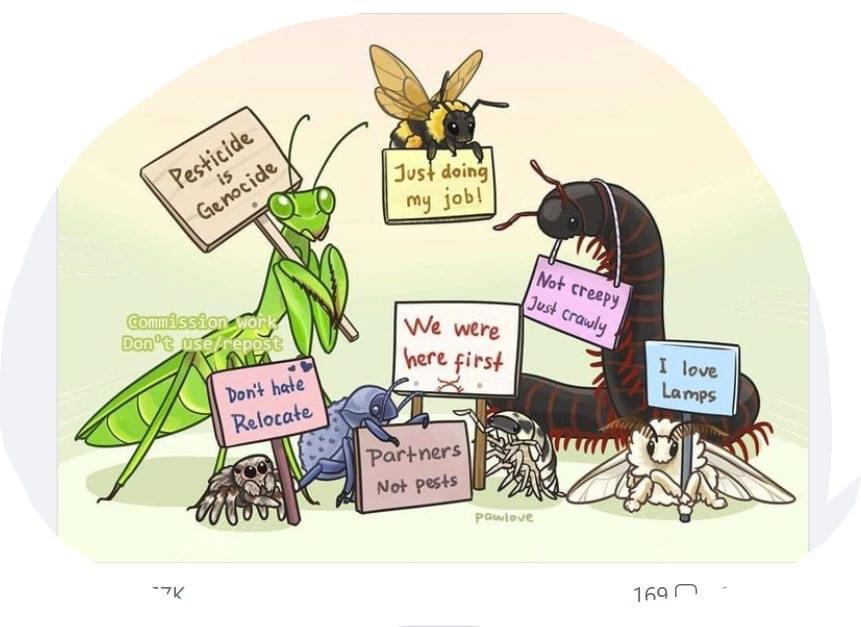 mrspeely's tweet photo. ❤️ https://t.co/wfiUgIekOE