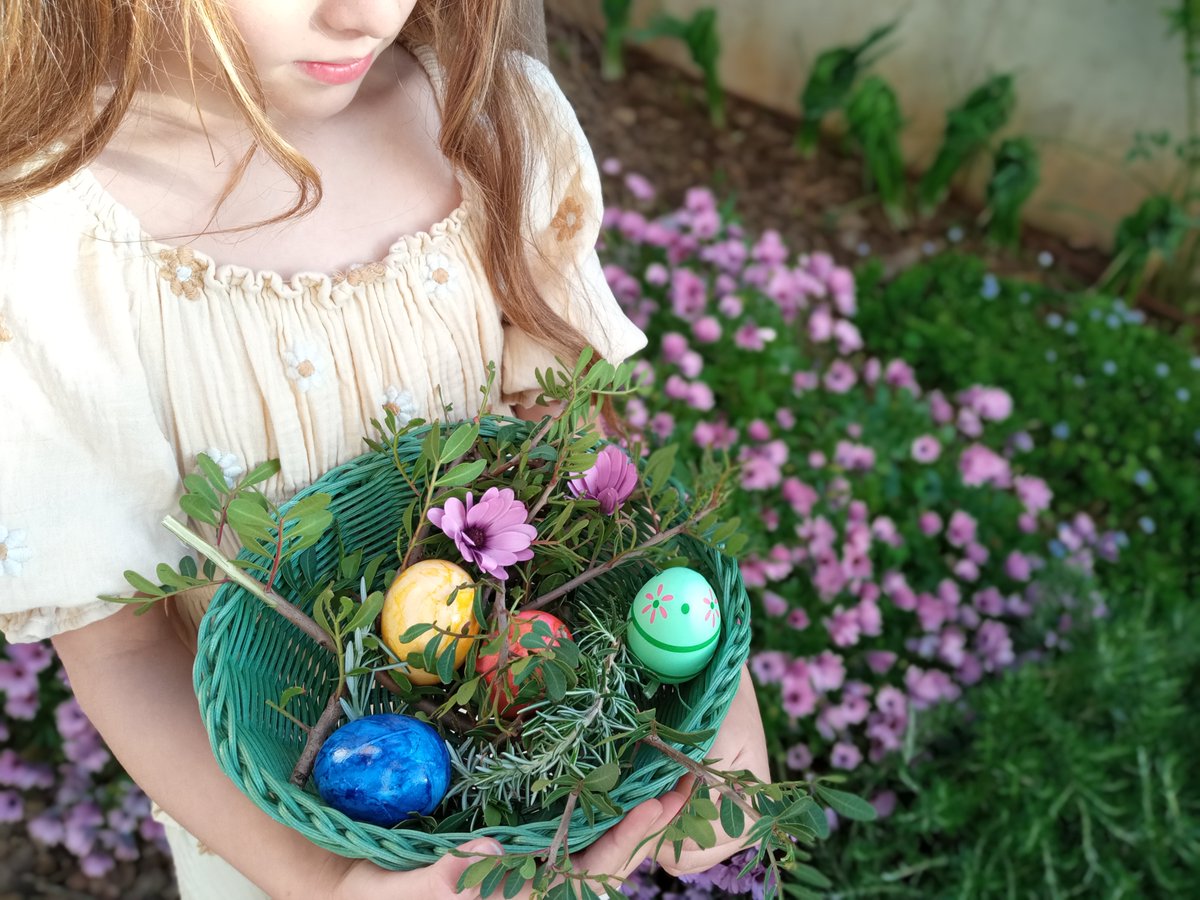 Son_Julia's tweet photo. Getting in the mood for Easter #easter #holidays #sonjulia #egghunt #countryhouse #event #llucmajor #mallorca #boutiquehotel https://t.co/OisTXXp0os
